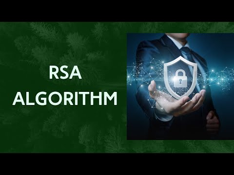 Implementation of RSA Algorithm Program in Python | TechBD For You