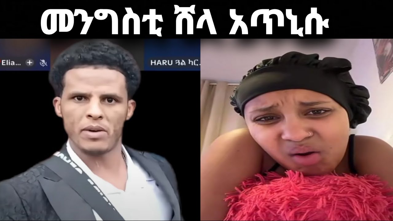 ⭕️ መንግስቲ ሸላ ብፍቅሪ ታአሲሮም