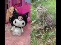 Nika almost lost her best friend… #cat #cats