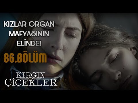 Kızlar kurtulabilecek mi? (Son Sahne) - Kırgın Çiçekler 86.Bölüm