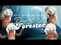 Next Traveling Spirit - Daydream Forester | Season of Assembly | Sky Cotl | Noob Mode