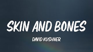 David Kushner - Skin and Bones (Lyrics)