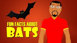 Fun Facts About Bats Learn About Bats With This Educational Cartoon Microchiroptera