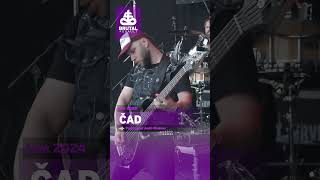 Čad - Live from Brutal Assault 2024 #brutalassault #festival