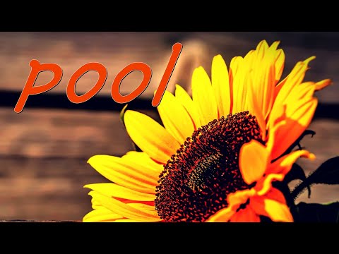 pool 槇原敬之 歌詞付