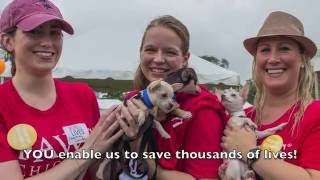 2016 Volunteer Appreciation Party