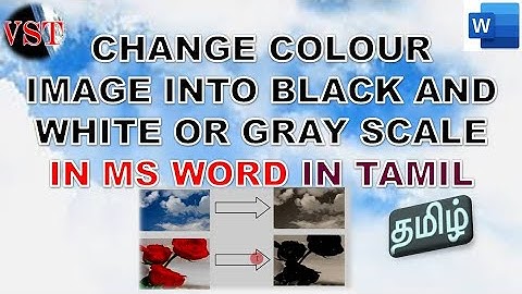 Change Colour image into Black and White or Gray Scale in MS word in Tamil