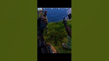 Random encounters in DAYZ are like no other