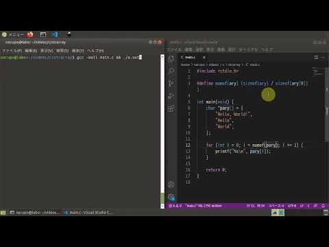 C言語で文字列の配列を扱う【NULL番兵】