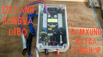 Kích cá 12 Fet đánh sông một vợt và đi bộ băm xung bắt rô phi cực khỏe