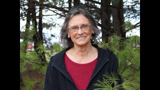 Interview with author Jewel Showalter of "Finding Home"