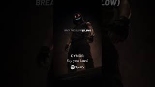 Cyndr  Say You Kneel darkromance booktok