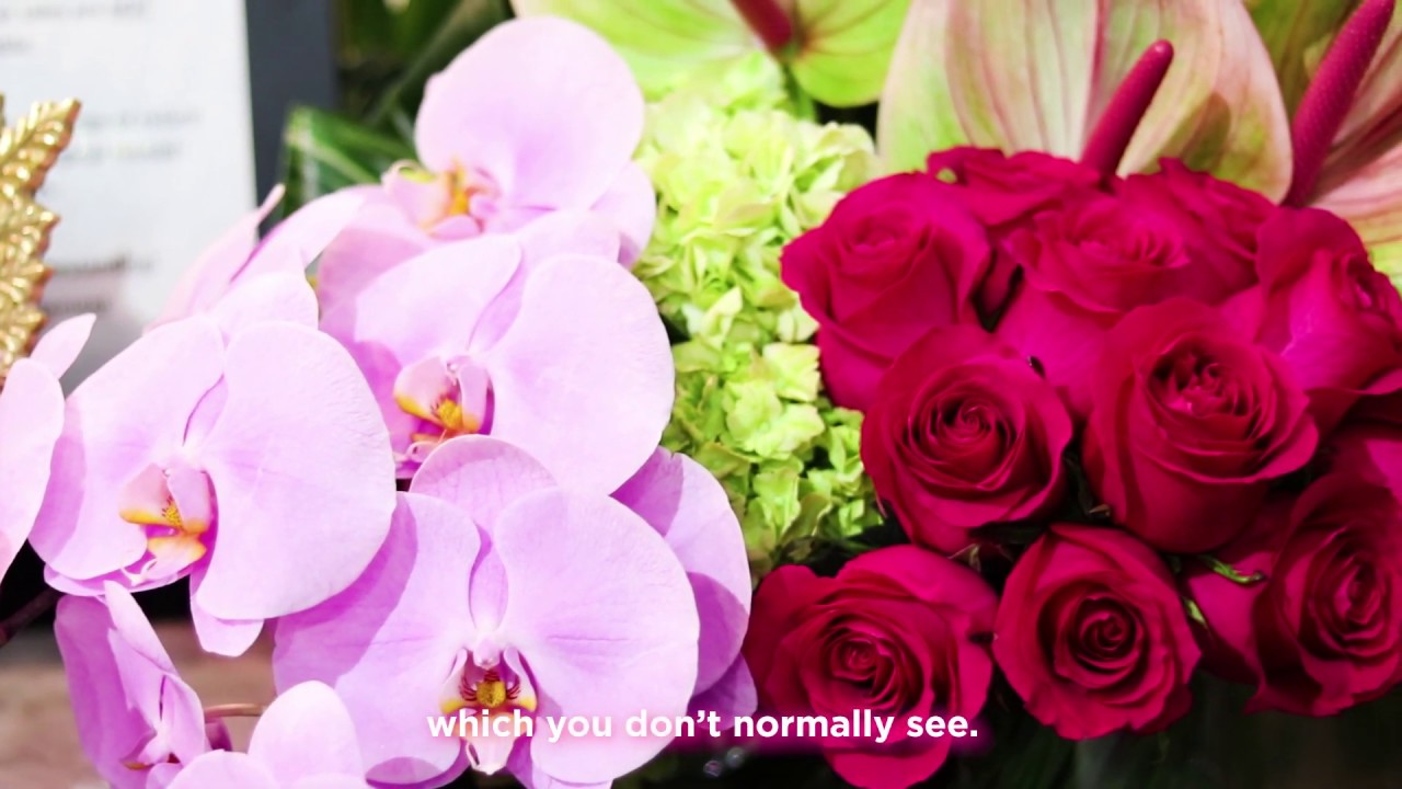 New Designs at Julia Testa