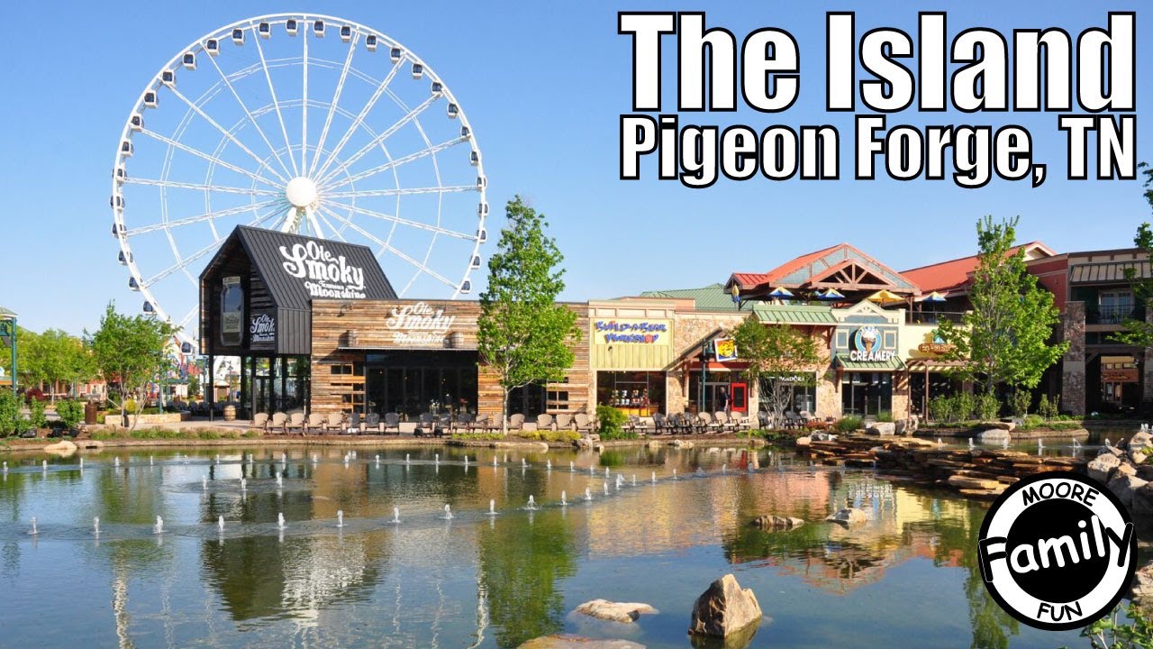 The Island Pigeon TN Full Walkthrough YouTube