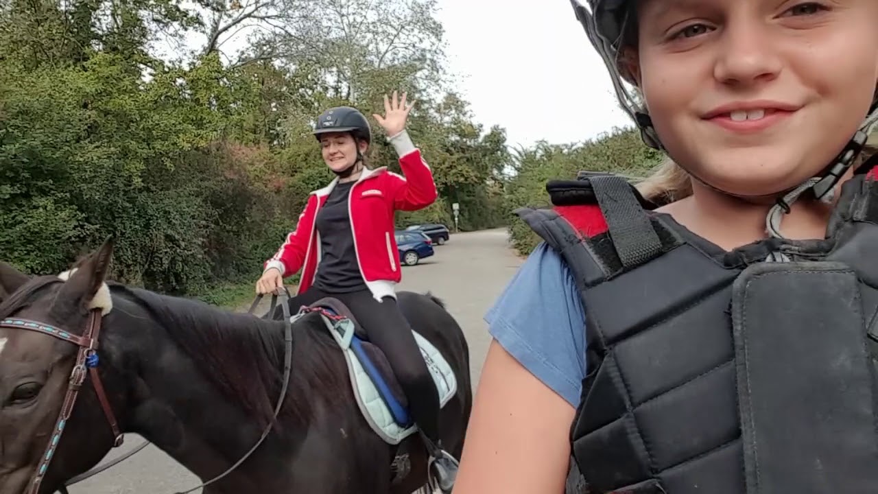 Es gibt Neuigkeiten...Unfall mit Dancer!!