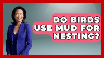 Do Birds Use Mud For Nesting? - Bird Watching Diaries