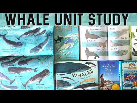 Hoe om samen een Unit Study | walvissen | Charlotte Mason Levende Boeken