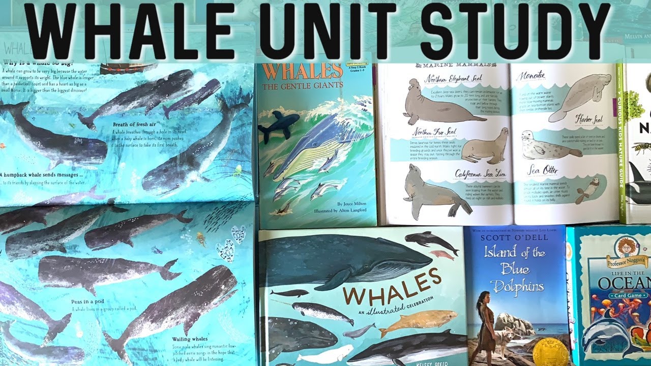 How To Put Together A Unit Study | Whales | Charlotte Mason Living Books