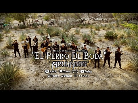 Los Apodados -