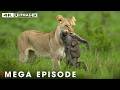 WORLD'S DEADLIEST | The Ruthless Predator of the Savannah | Wildlife Documentary