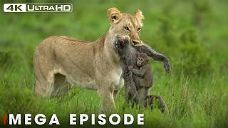 WORLD'S DEADLIEST | The Ruthless Predator of the Savannah | Wildlife Documentary