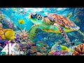 Ocean 4K - Sea Animals for Relaxation, Beautiful Coral Reef Fish in Aquarium, 4K Video Ultra HD #123