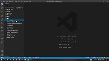 Flutter Dark Mode Light Mode With Provider