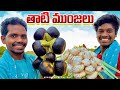 Ice apple           araku tribal culture