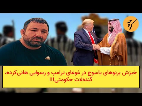 خیزش برنوهای یاسوج در غوغای ترامپ و رسوایی هانی کرده گنده لات حکومتی