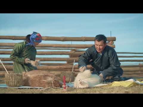 Видео: Ямааны жил: ямааны жилд төрсөн хүмүүсийн шинж чанар