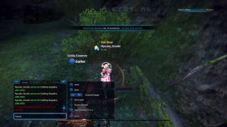 Tera close to hitting lvl 65 with ninja class