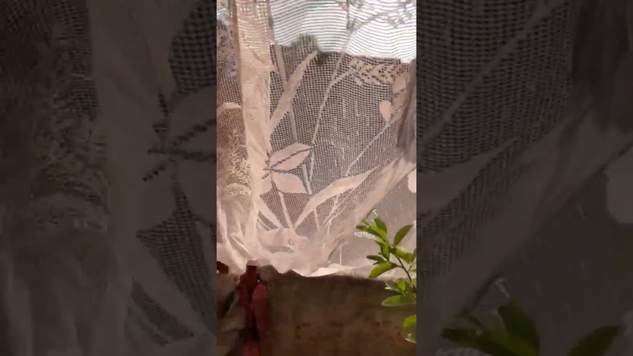 Good morning # with small family vlog 