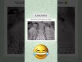 #memes #funnyvideo #shortsviral #shortvideo #shorts