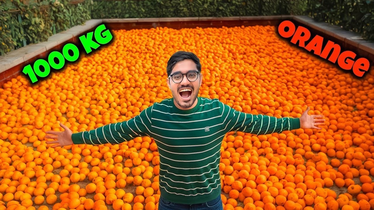 Extracting Juice From 1000 Oranges   1000 संतरे में कितना लीटर जूस निकलेगा