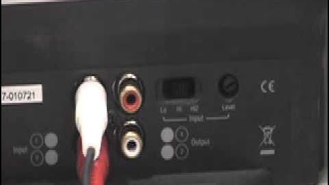 MS-8 Amplifier Adjustment