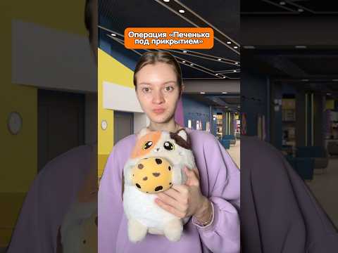 а как бы вы поступили в такой ситуации? котик с печенькой TOTTY TOYS на wб: 465391958 🍪