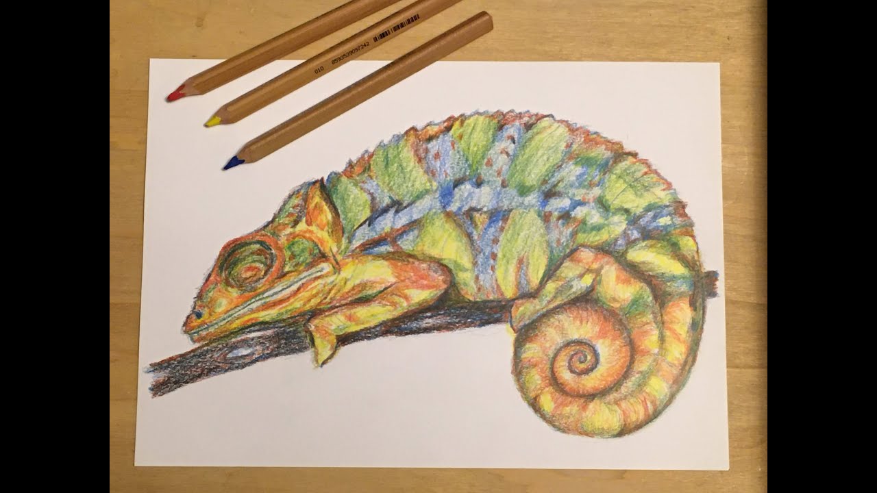 Chameleon - kresba třemi pastelkami