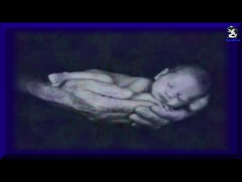 SIHINA NELUM MAL - Mariazelle 720P HD (((STEREO)))
