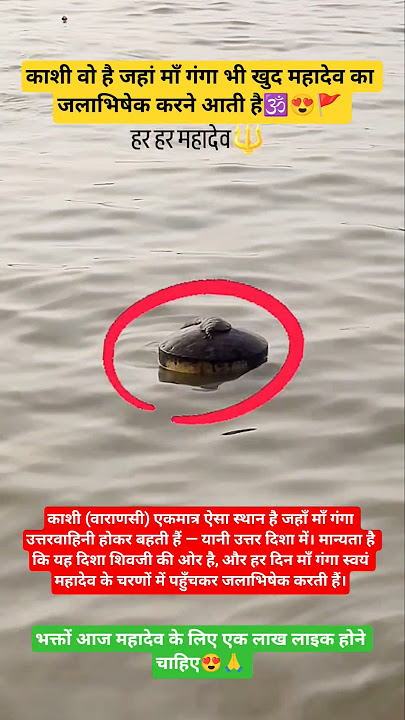 #Kashi#Mahadev #GangaMaa #GangaJalAbhishek #ViralBhakti #KashiKiMahima #HarHarMahadev #BanarasDiarie
