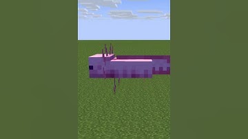Axolotl VS Zombie Villager 😂 {Minecraft Animation}