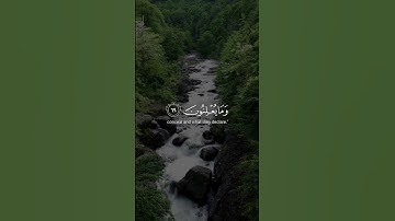 اكتب شيء تؤجر عليه #اكتب_شي_تؤجر_عليه #تلاوة #قرآن #قران_كريم #quran #تلاوات #مسلم#ايات_قرانيه_قصيره