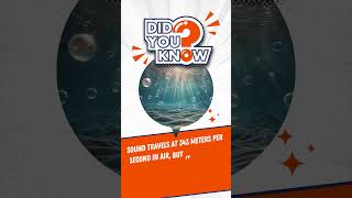 The Science Of Sound