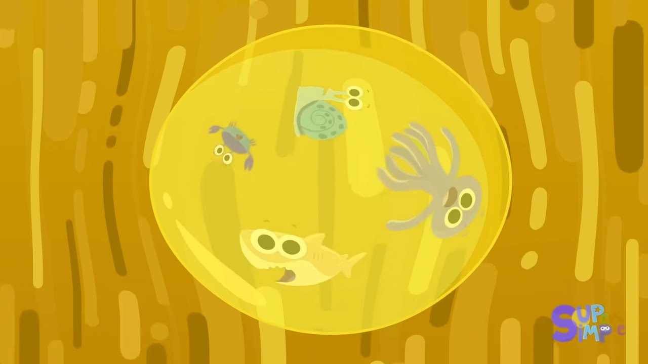 Pop The Bubble Sparta Pitch Intro Logo | Sponsored By: Klasky Csupo 2001 Effects