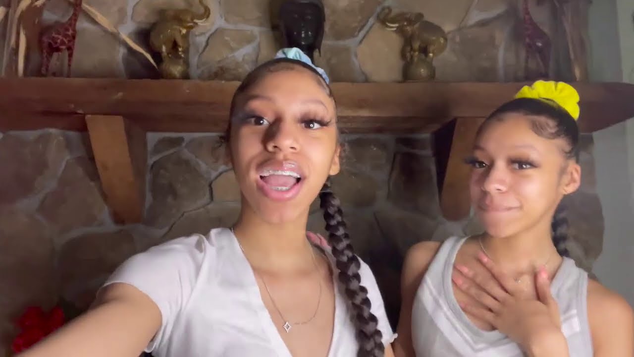 Braided Ponytail Tutorial ( SUPER FUNNY) | TheWickerTwinz