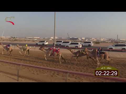 سباق الحقاقة الطي 05 10 2025 ش9 سمحه ل حميد علي حمد علي بلخيار الشامسي 4 32