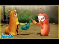 Larva  fencing  cartoon movie for life  the best of cartoon  hilarious cartoon compilation