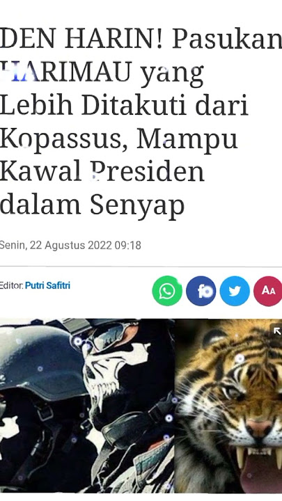 story wa Jedag jedug pasukan DENHARIN  #kopaska#kopassus  #tnial#tniindonesia #tni