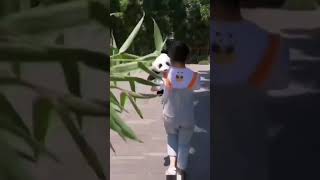 Cute Innocent panda 🐼 Animals shorts video #panda #shorts#video || Chill pandas 🐼 in world 🌎 screenshot 4