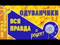 Одуванчик: польза и свойства. Рецепты - салат и яркий сироп для сырной тарелки из одуванчиков