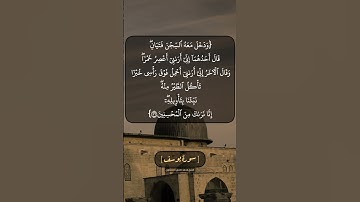 سورة يوسف الآية ٣٦ بصوت الشيخ محمد صديق المنشاوي